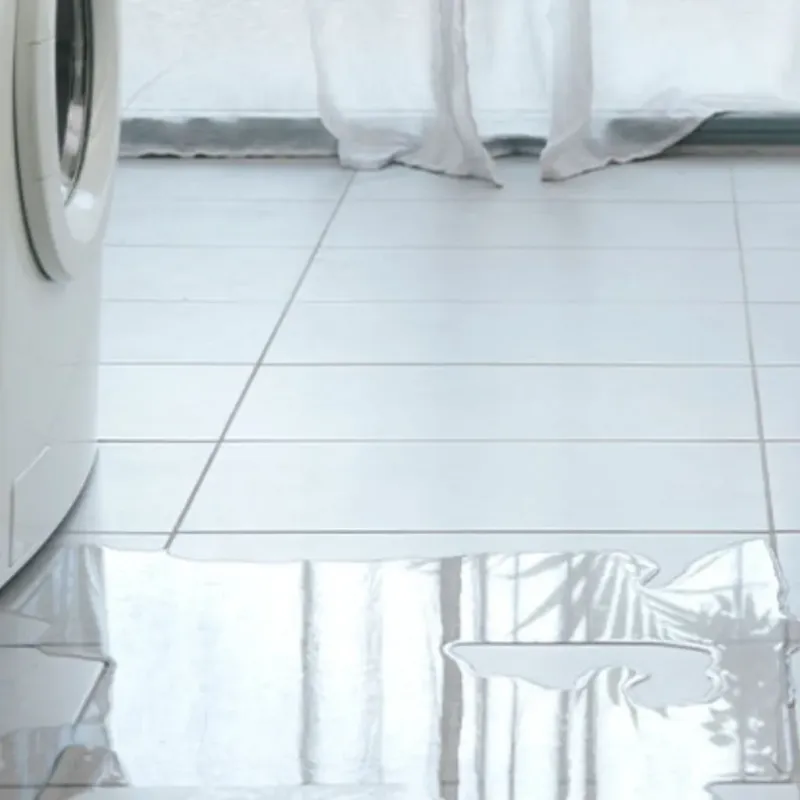 Appliance Leak Cleanup in Montgomery County, IL