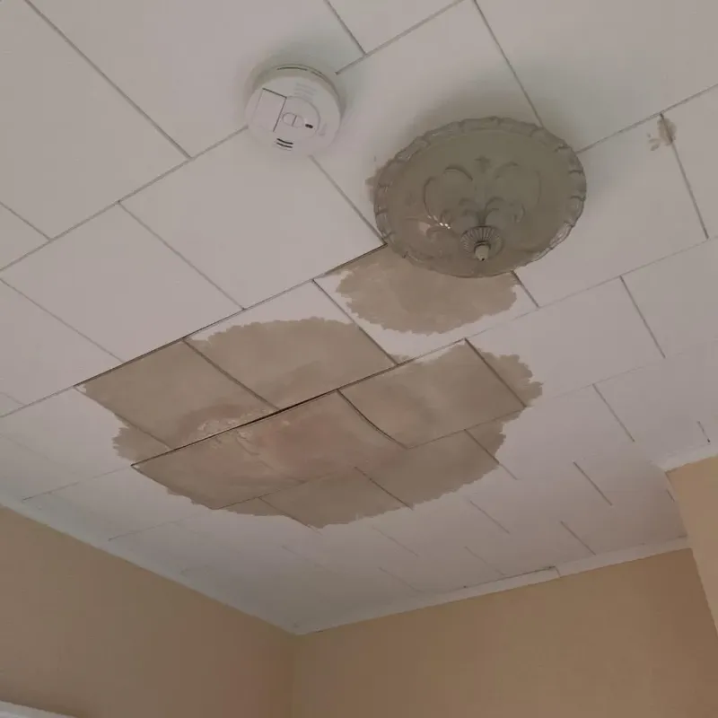 Ceiling Water Damage Repair in Montgomery County, IL