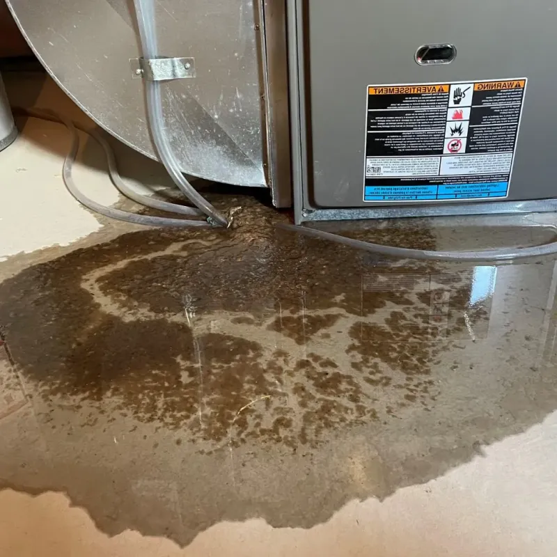 Pipe Burst and Leak Restoration in Montgomery County, IL
