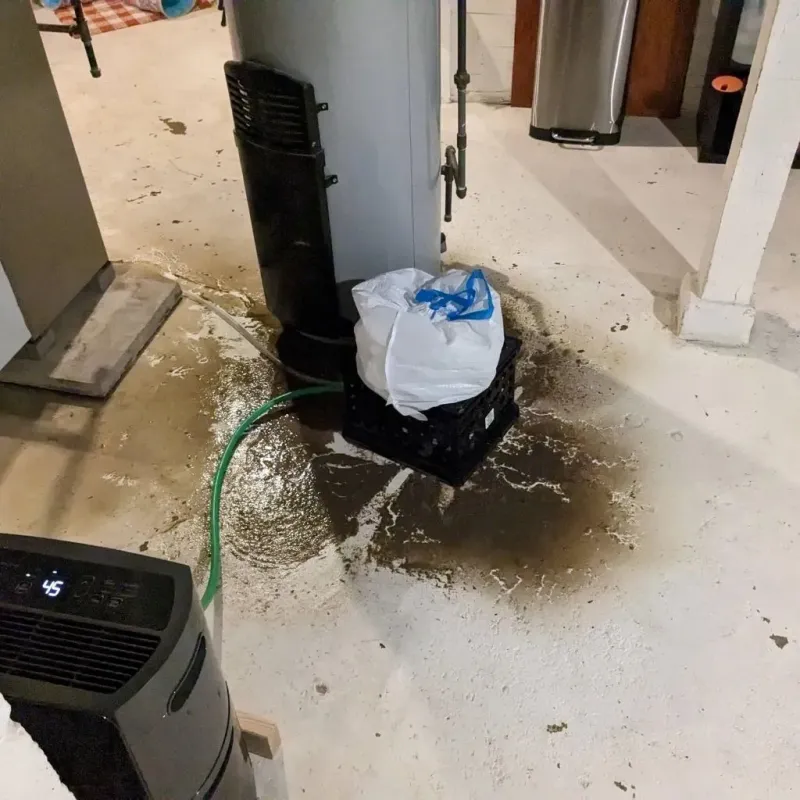 Sewage Backup Cleanup Service in Montgomery County, IL